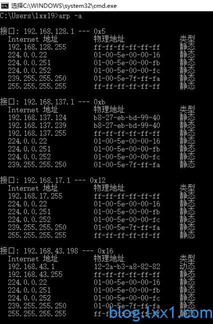 arp -a 查看网络接口信息